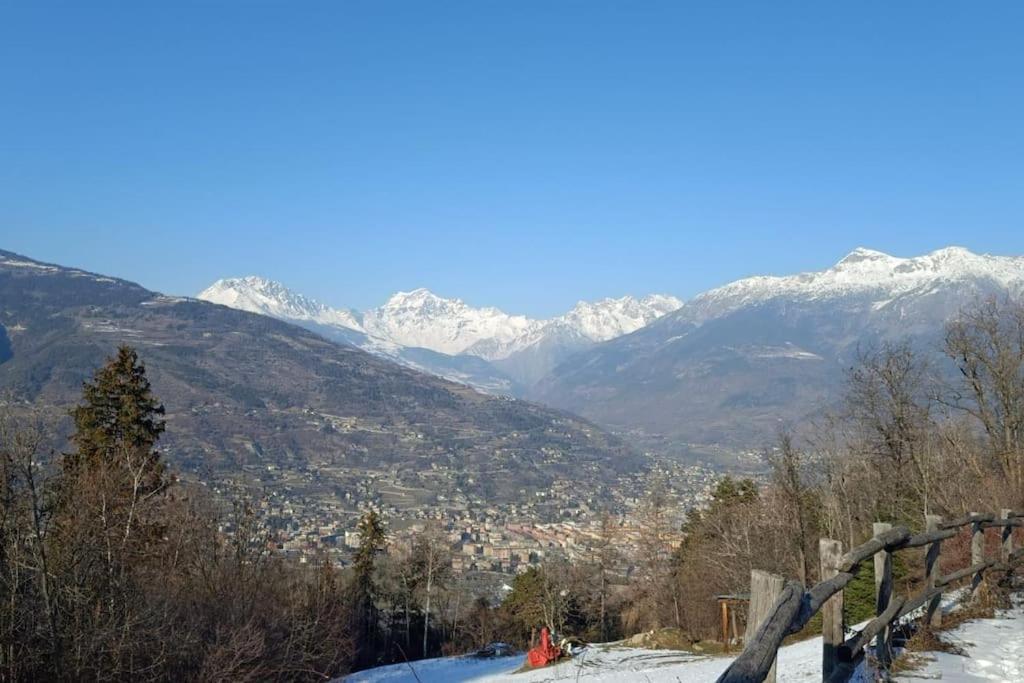 Tana Della Volpe 1 *