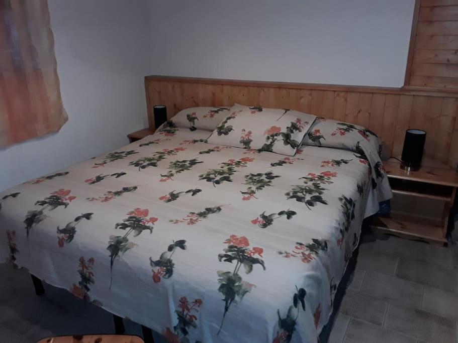 Tana Della Volpe 1 Apartment